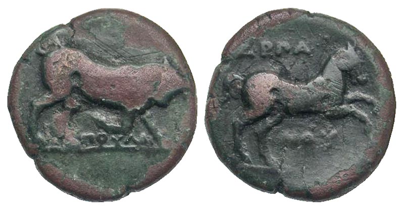Apulia, Arpi. Ca. 275-250 B.C.  AE 22. Poullos, magistrate. 
