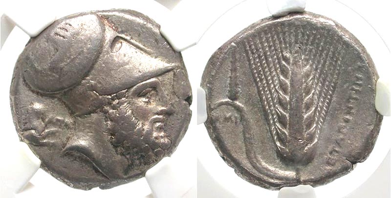 Lucania, Metapontion. Ca. 340-330 B.C. AR distater. 