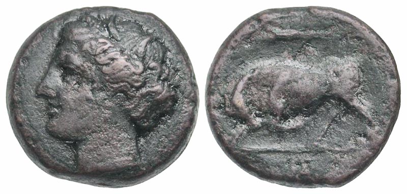 Sicily, Syracuse. Hieron II. 275-215 B.C. AE 20. 