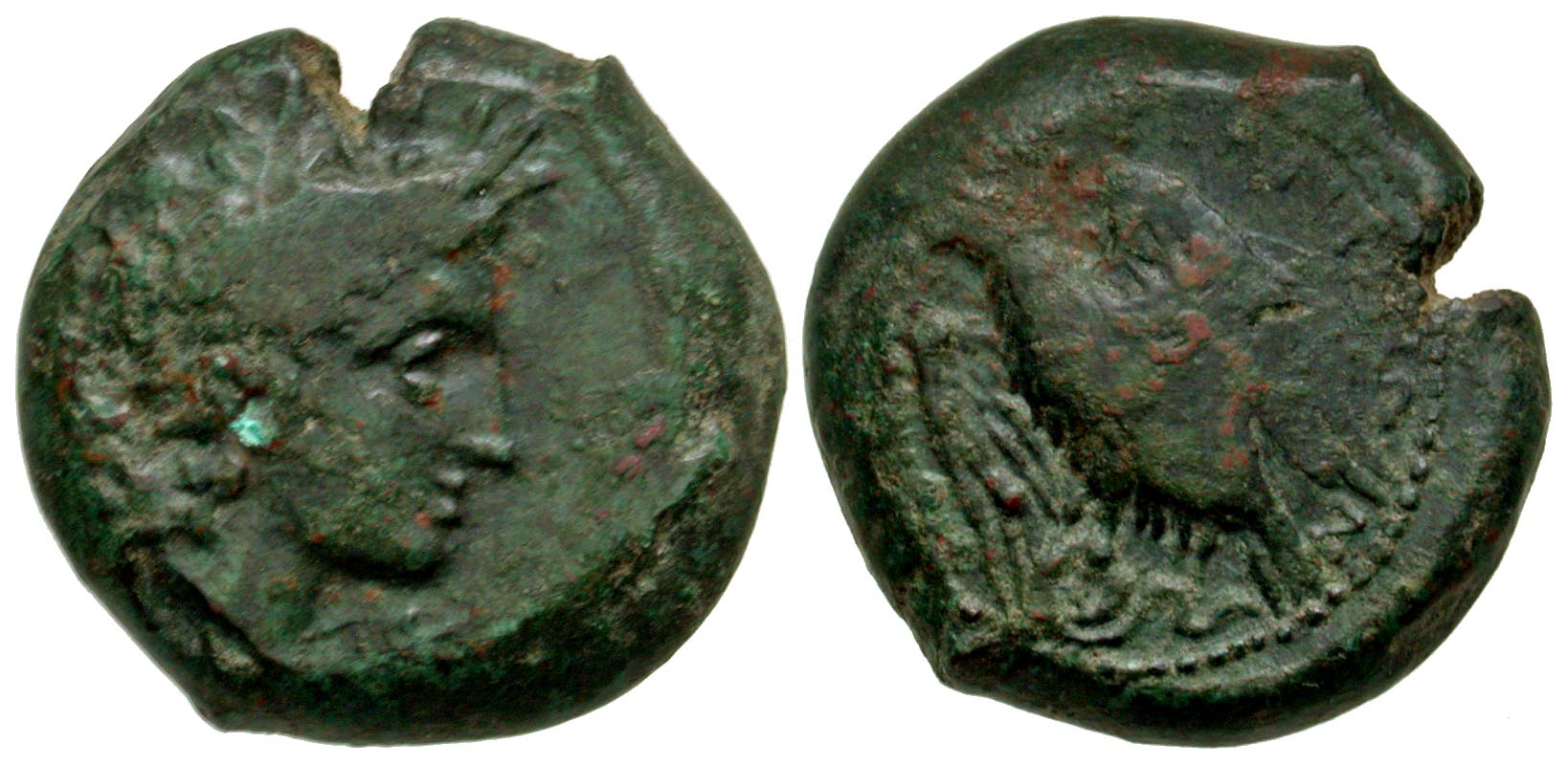 Sicily, Morgantina. civic issue. ca. 339-37 B.C. AE 20 hemilitron. 