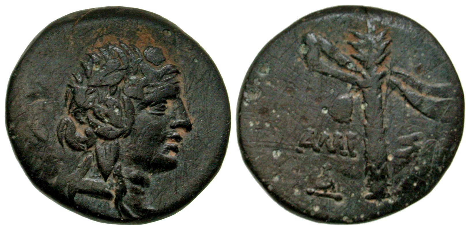 Pontic Kingdom, Amisos. Civic issue, time of Mithradates VI. ca. 85-65 B.C. AE 19. 