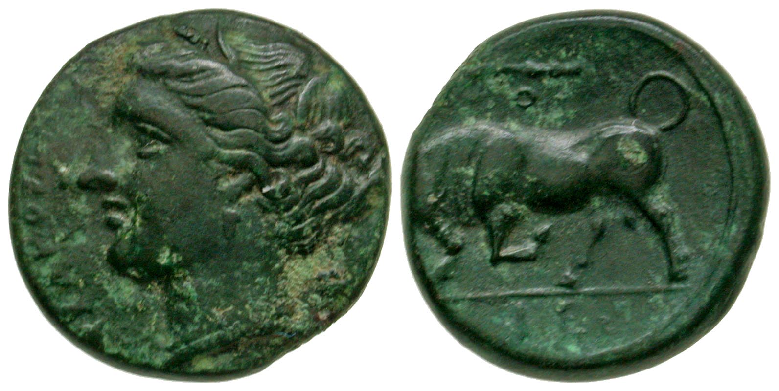 Sicily, Syracuse. Hieron II. 275-215 B.C. AE 19. 