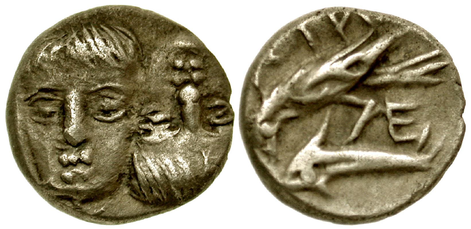 Thrace, Moesia. Istros. Civic issue. Ca. 400-350 B.C. AR hemidrachm. Contemporary copy. From the D. Thomas Collection. 
