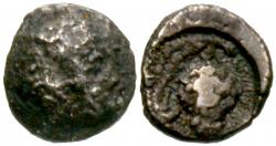 29/101930.jpg