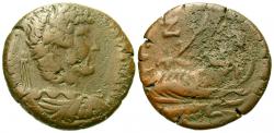 29/101960.jpg
